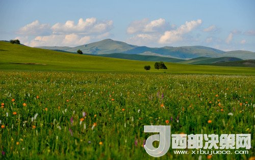 錫林郭勒草原。吳勇攝