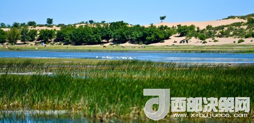 阿魯科爾沁保護(hù)區(qū)濕地沙丘。吳勇攝