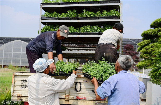 數字經濟已經成為我國經濟社會更好發(fā)展的重要推動力，也為我國鄉(xiāng)村發(fā)展提供了新的歷史機遇。（圖片來源：視覺中國）