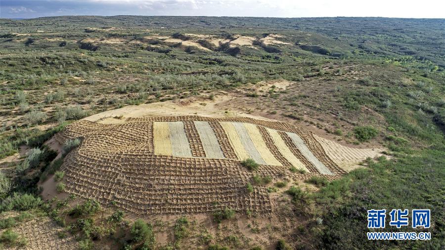 （壯麗70年·奮斗新時代——共和國發(fā)展成就巡禮·圖文互動）（6）生態(tài)美、百姓富——品讀嶄新“寧夏畫卷”