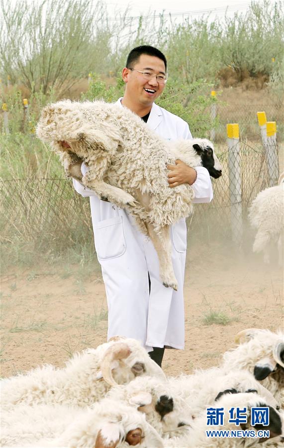 （壯麗70年·奮斗新時代——共和國發(fā)展成就巡禮·圖文互動）（3）生態(tài)美、百姓富——品讀嶄新“寧夏畫卷”