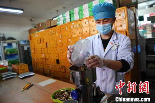 疫情發(fā)生以來，甘肅確保所有病例盡早、及時、全程使用中醫(yī)中藥，努力做到“一患一方案”。(資料圖) 楊艷敏 攝
