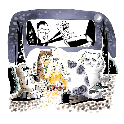 ▲物理學家薛定諤曾用一只貓比喻量子疊加。圖片來源：視覺中國