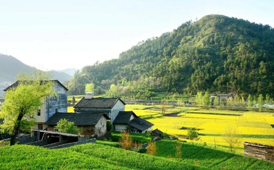 圖片來源：攝圖網