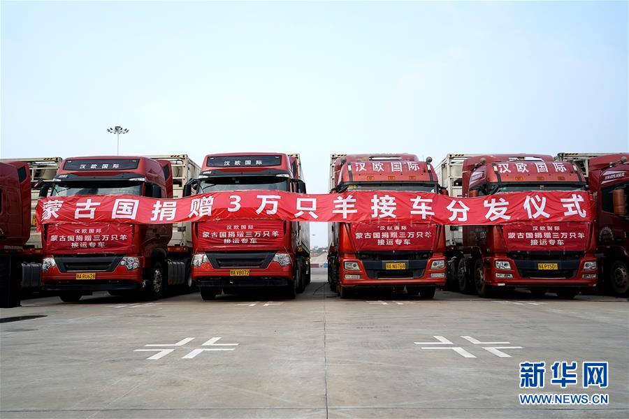 (新華全媒頭條·圖文互動)(1)在世界大變局中引領前行的方向——2020年中國元首外交綜述