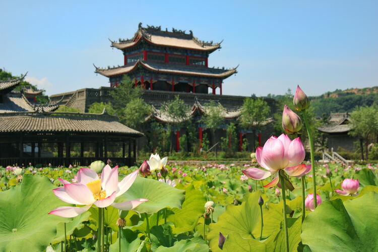 【云游渭南】心中若有桃花源，此處便是水云間！待疫情散盡，一起來渭南桃花源賞美景、觀民俗、享美食_fororder_2