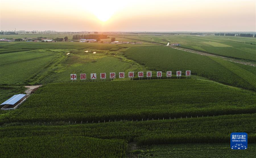 (新華全媒頭條·圖文互動(dòng))(7)習(xí)近平關(guān)心關(guān)懷勞動(dòng)者的故事